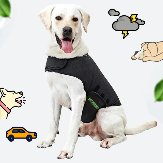 MONKEDSHIRT - Beruhigungsweste für Hunde