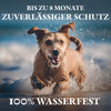 Monked™ V2 - Neues Anti Floh- & Zeckenhalsband (verbessert & länger)