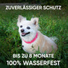 Monked™ - Anti Floh- und Zeckenhalsband