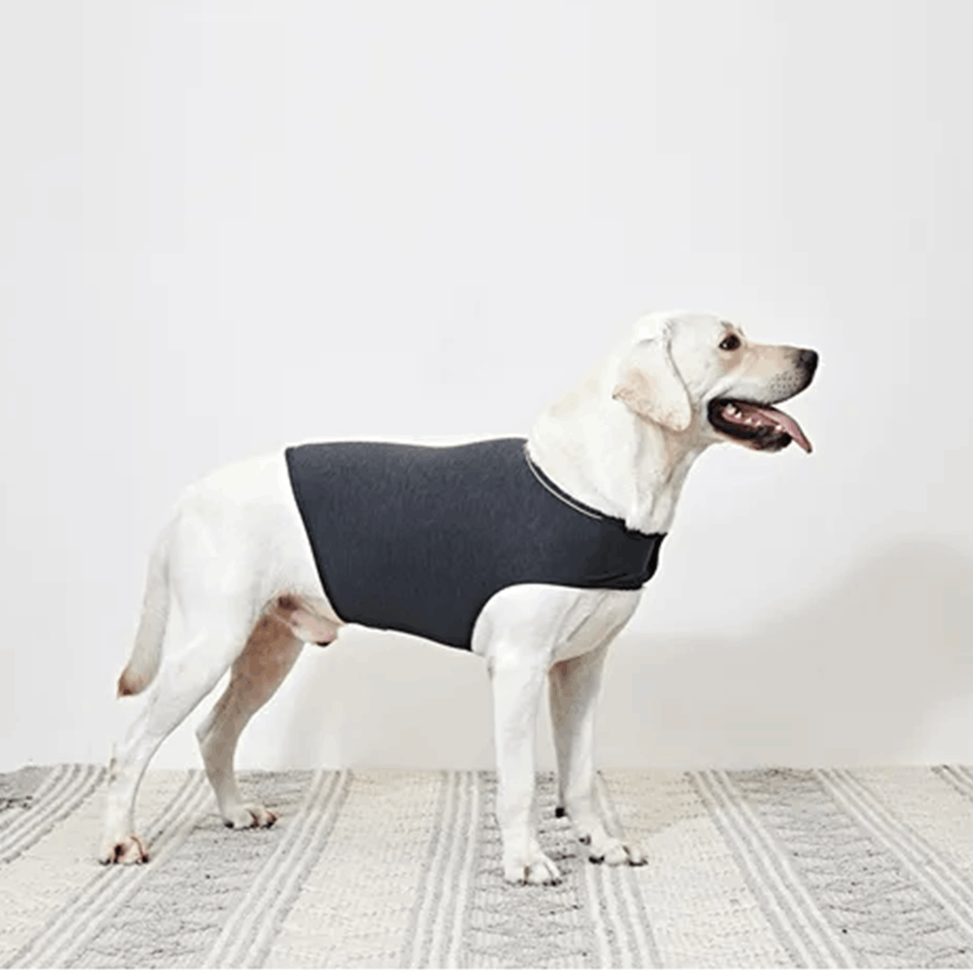 MONKEDSHIRT - Beruhigungsweste für Hunde